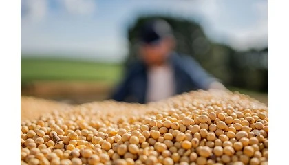 Foto de Uruguay aboga por reforzar las alianzas internacionales de Mercosur sin esperar a la UE