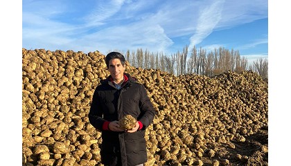Óscar Olivar, responsable del Servicio Agronómico de ACOR