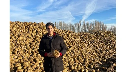 Foto de Entrevista a �scar Olivar, responsable del Servicio Agron�mico de ACOR