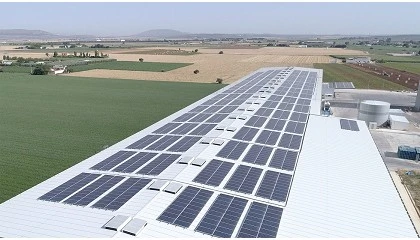 Foto de Dcoop se adhiere a SBTi