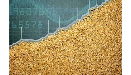 Photo de La Llotja de Mar de Barcelona acoger� un curso sobre gesti�n de riesgo en el mercado de cereales