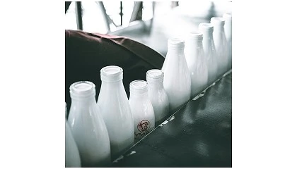 Foto de APROLEP: descidas no pre�o do leite amea�am a produ��o nacional