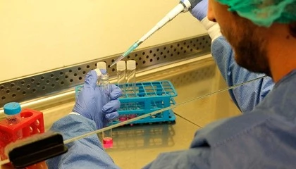 Foto de El proyecto Atila alcanza su fase final, centrada en la validaci�n de los implantes 3D impresos con una tecnolog�a �nica