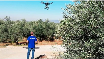 Foto de La agricultura cerr� 2025 con un 11,73% menos de desempleados