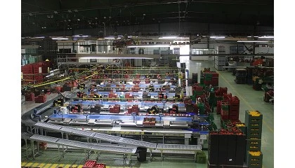 Foto de Ayudas de 88 millones en Andaluc�a para la transformaci�n y comercializaci�n productos agroalimentarios