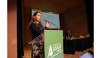 Foto de Investigaci�n y recursos h�dricos, claves para garantizar el futuro del sector citr�cola