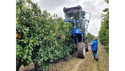 Foto de CIVAC-19: una nueva etapa en la intensificaci�n eficiente de la citricultura mediterr�nea