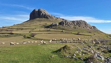 Foto de Un estudio revela el valor ambiental de la ganader�a extensiva en el Geoparque Las Loras