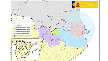 Foto de La dermatosis nodular contagiosa reaparece en Girona tras dos meses y medio sin casos