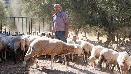 Foto de Crist�bal Yuste Puerto deja la presidencia de la asociaci�n de Merina de Grazalema