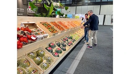 Photo de Las cuatro tendencias clave que marcar�n la pauta en el sector hortofrut�cola en 2026