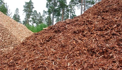 Fotografia de Nueva convocatoria de ayudas para a las redes de calor y fr�o alimentadas por energ�as renovables