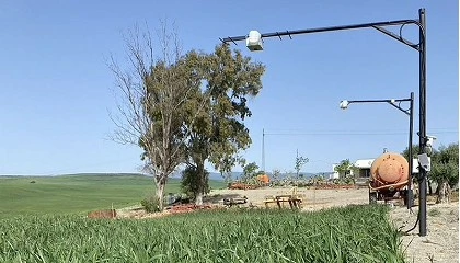 Photo de Investigadores andaluces desarrollan 'AquaCrop-IoT', plataforma inteligente que estima el riego diario y ahorra un 32% de agua