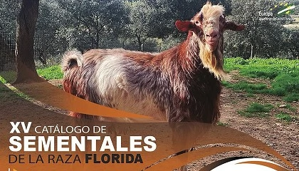 Foto de La asociaci�n Acriflor publica el XV Cat�logo de Sementales de la Raza Caprina Florida