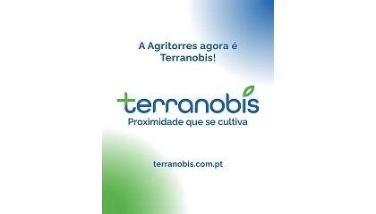Foto de Agritorres anuncia transi��o para Terranobis
