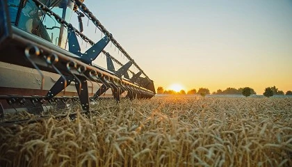 Foto de Tras la abundancia, llega la incertidumbre: �Qu� factores influir�n en los precios de los cereales en este 2026?