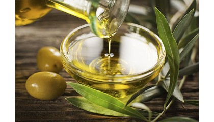 Foto de La producci�n de aceite de oliva desciende un 45% en la provincia de Ja�n