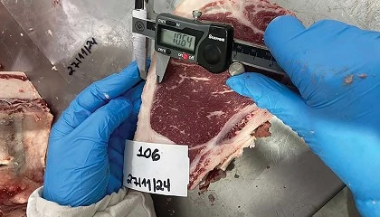 Foto de La metabol�mica define la huella digital de la carne gaucha seg�n su sistema de producci�n