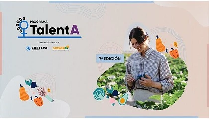 Foto de El Programa TalentA ampl�a el plazo de candidaturas hasta el 31 de enero
