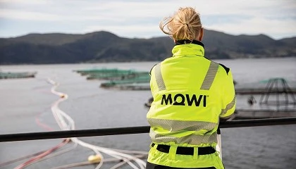 Foto de Mowi y Skretting acuerdan optimizar la producci�n de piensos para acuicultura