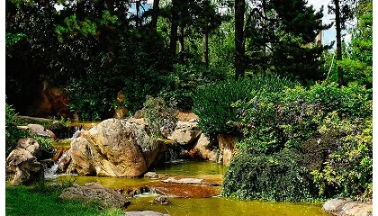 Photo de Jardines que cuidan emociones y sentidos