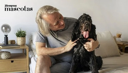 Foto de Cuidados especiales para perros mayores