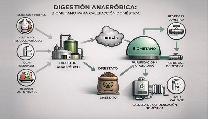 Foto de El biometano como vector clave en la descarbonizaci�n