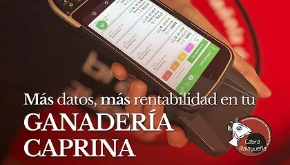 Foto de Una buena gesti�n de la informaci�n para obtener la mayor rentabilidad en las granjas