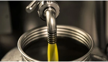 Foto de Algunos controles sobre aceite de oliva son incompletos seg�n el Tribunal de Cuentas Europeo