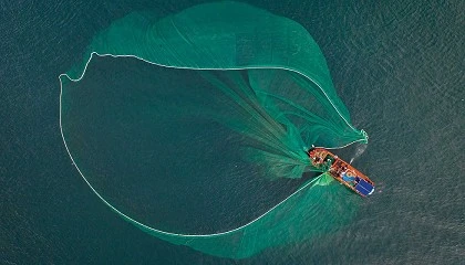 Foto de Entra en vigor el Tratado de Alta Mar: implicaciones para la industria pesquera global