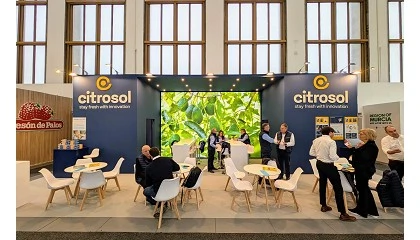 Foto de Citrosol refuerza su liderazgo en postcosecha de aguacate en Fruit Logistica 2026
