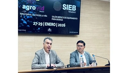 Foto de La transferencia de conocimiento ser� protagonista en una nueva edici�n de Agrovid y SIEB en Valladolid
