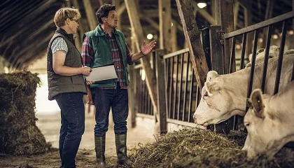 Foto de El debate sobre sanidad animal se reaviva buscando equilibrios entre salud y econom�a