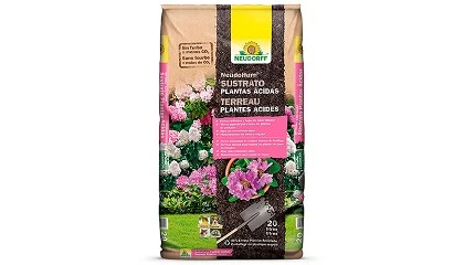 Foto de Nuevos sustratos NeudoHum para plantas �cidas y verdes, 100% libres de turba