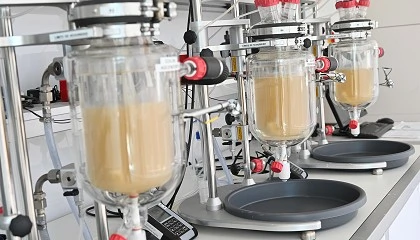 Foto de Un consorcio valenciano inicia Genocare para avanzar en la personalizaci�n terap�utica en pacientes polimedicados