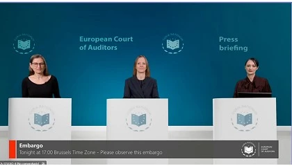 Foto de El control al aceite de oliva es insuficiente seg�n el Tribunal de Cuentas Europeo