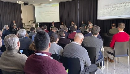 Foto de Mano de obra especializada, sanidad animal y orientaci�n al mercado: los retos del ovino y caprino