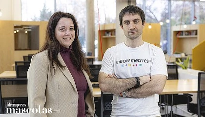 Foto de Nace Meow Metrics, la plataforma que ayuda a gestionar colonias felinas municipales