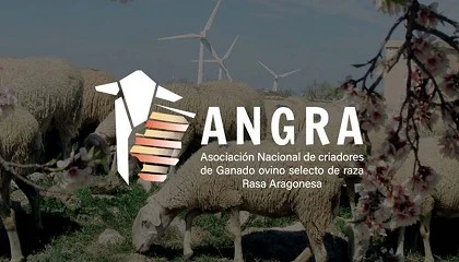 Foto de La Feria Churra acoger� el hermanamiento entre la raza Churra y la Rasa Aragonesa