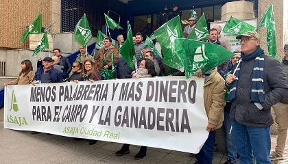 Foto de Ganaderos de Ciudad Real se concentrar para exigir soluciones urgentes a la lengua azul