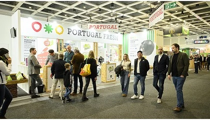 Foto de Frutas e legumes portugueses abrem o apetite aos mercados internacionais