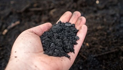 Foto de Biochar en la dieta de los rumiantes: la soluci�n para reducir las emisiones de metano