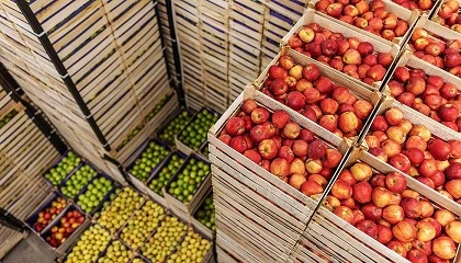 Foto de Comiss�o Europeia cria grupo para refor�ar controlos a alimentos importados