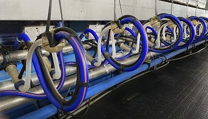 Foto de Aristech: el reto tecnol�gico pendiente del orde�o ovino