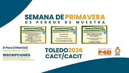 Foto de La RSCE celebra en Toledo la Semana de Primavera de Perros de Muestra, la gran cita anual de las pruebas de campo