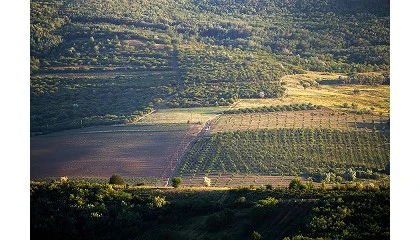 Foto de AJAP realiza �volta a Portugal� na defesa dos Territ�rios Rurais