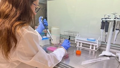 Foto de Un estudio preclínico valida el potencial neuroprotector de la piel de la cebolla roja, las hojas de achicoria y las podas de viña y olivo