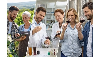 Foto de ¿Trabajar en el sector del vino nos hace felices?