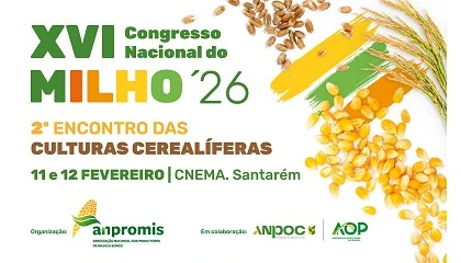 Foto de Congresso Nacional do Milho debate futuro da agricultura e dos cereais