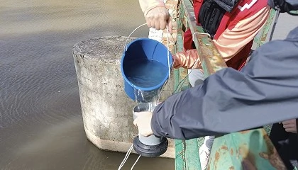 Foto de Cinco a�os de ciencia ciudadana confirman la presencia de micropl�sticos en la mayor�a de r�os y playas de Espa�a